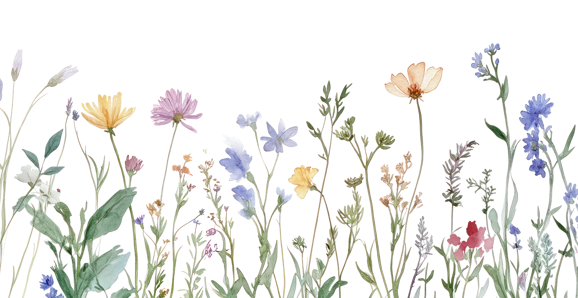 Garden Decoration